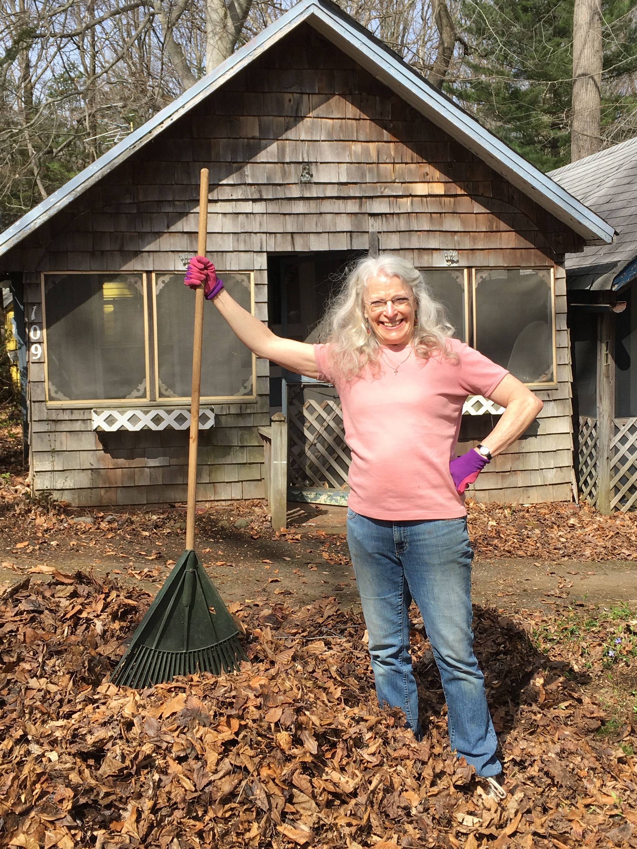 spring Clean up