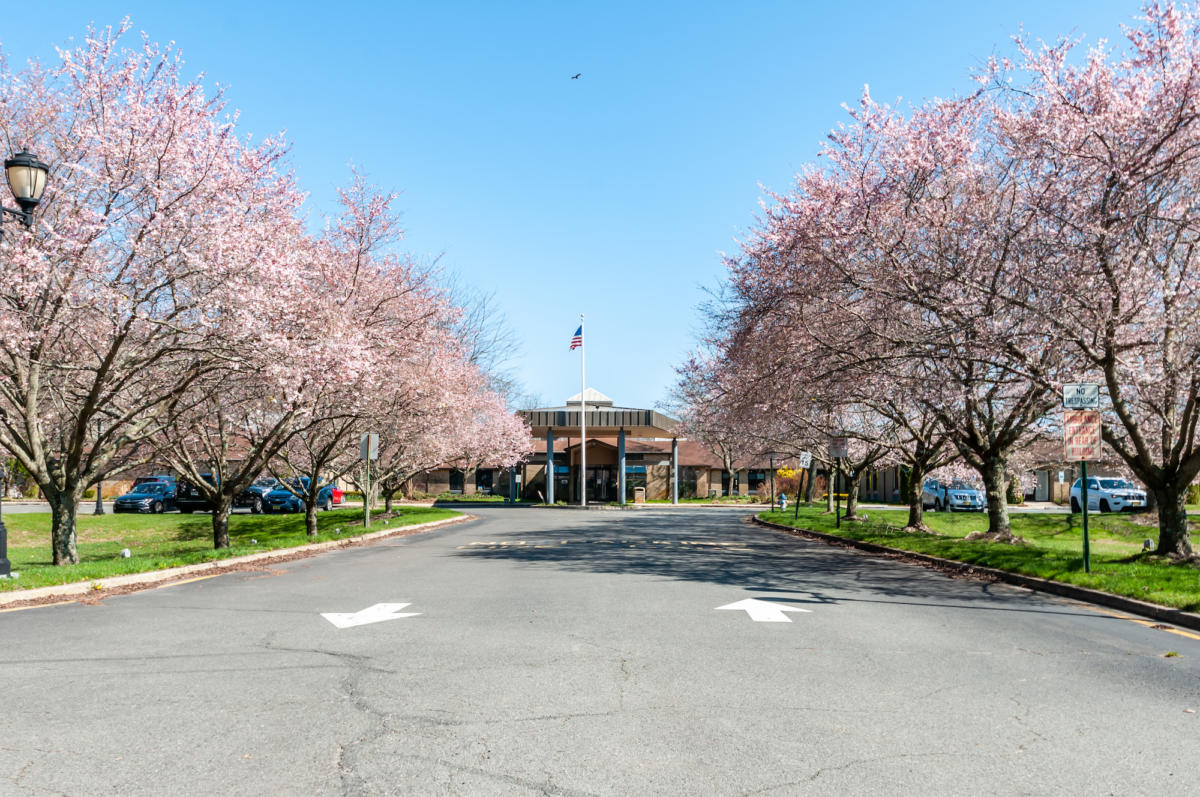 The Orchards at Bartley in Jackson
