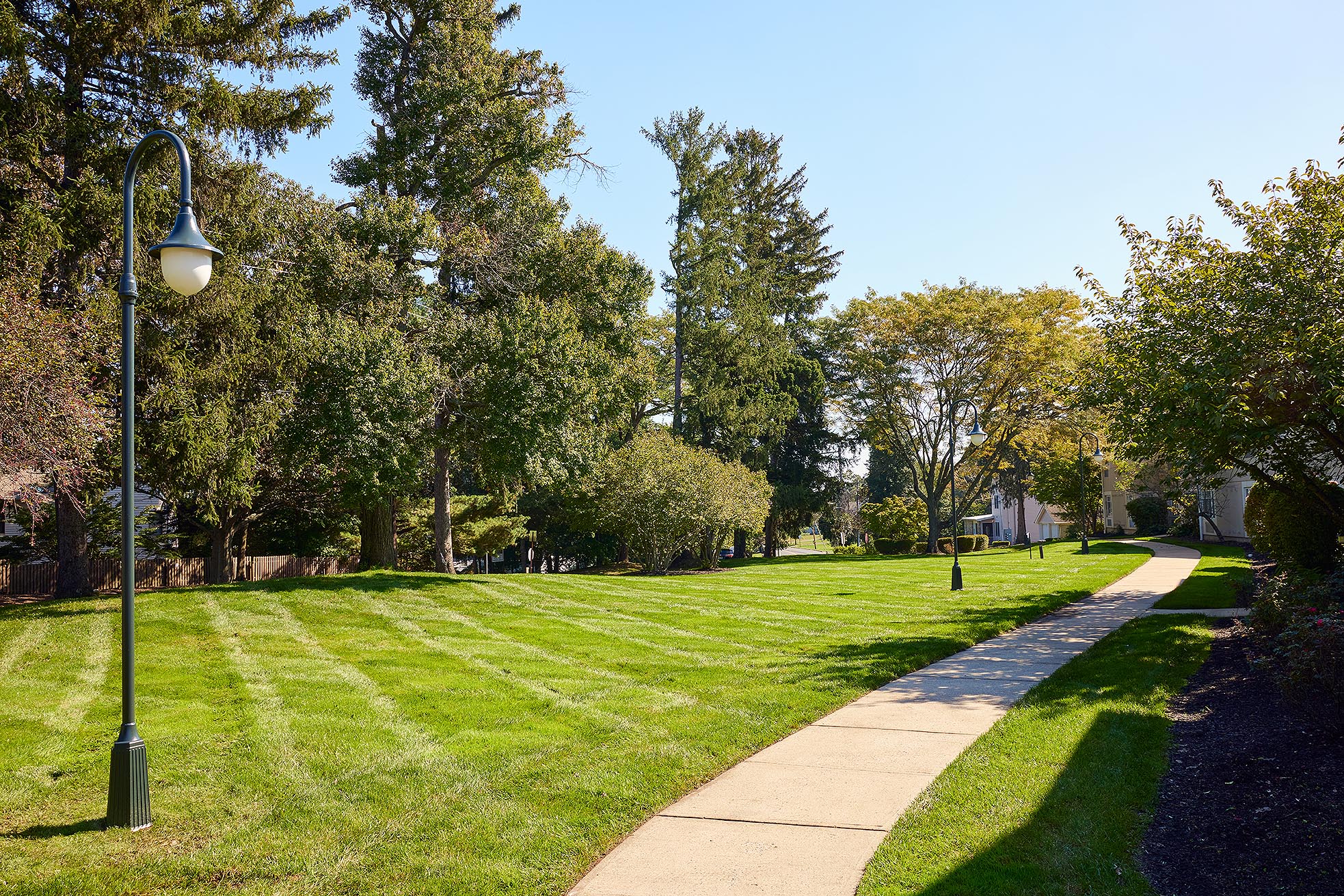 A winding path to enjoy an afternoon stroll